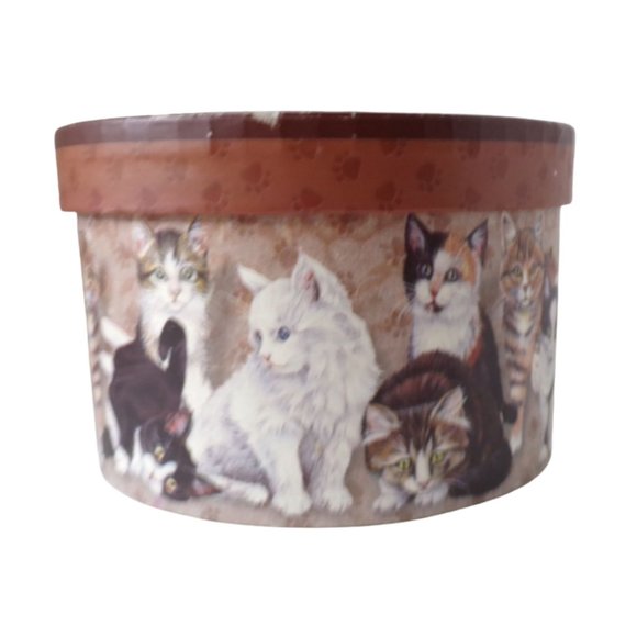 Cat's Cardboard Storage Boxes Set of Four Different Sizes    3260 - Picture 7 of 11